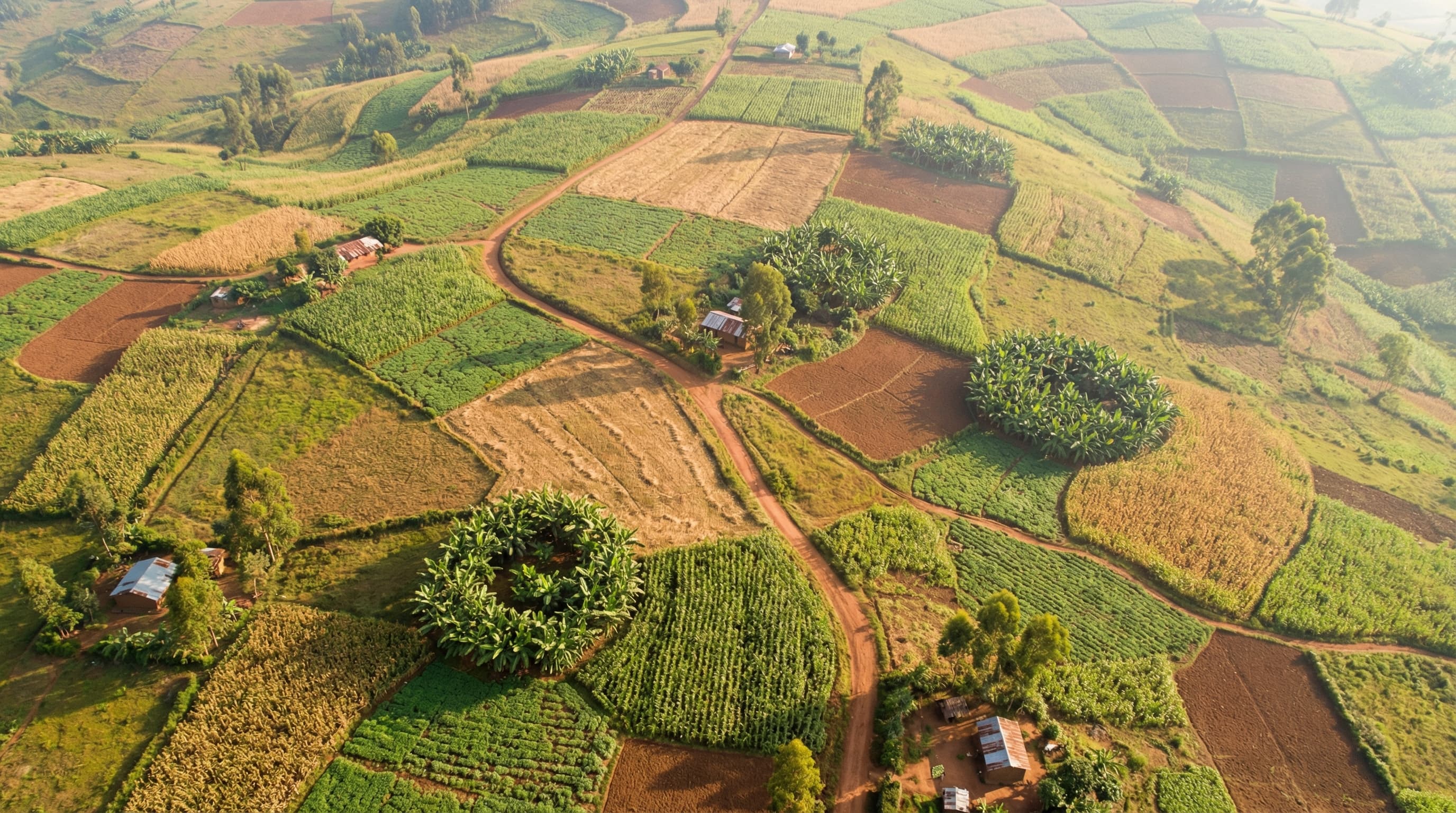 Aerial view of smallholder farmland in Uganda